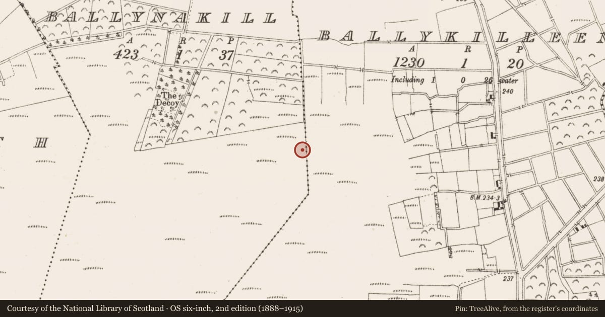 Ordnance Survey six-inch map, 2nd edition (1888–1915) covering the location of Road - class 3 togher, Ballynakill, County Offaly, with a pin at the register's coordinates