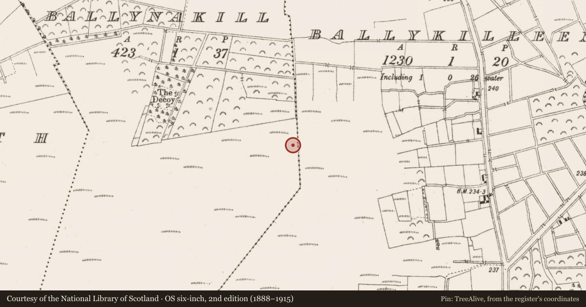Ordnance Survey six-inch map, 2nd edition (1888–1915) covering the location of Structure - peatland, Ballynakill, County Offaly, with a pin at the register's coordinates