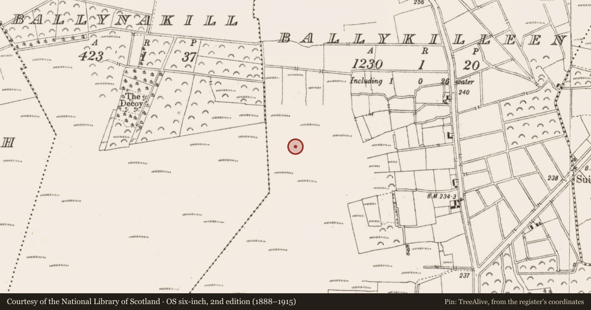 Ordnance Survey six-inch map, 2nd edition (1888–1915) covering the location of Road - class 3 togher, Ballykilleen, County Offaly, with a pin at the register's coordinates
