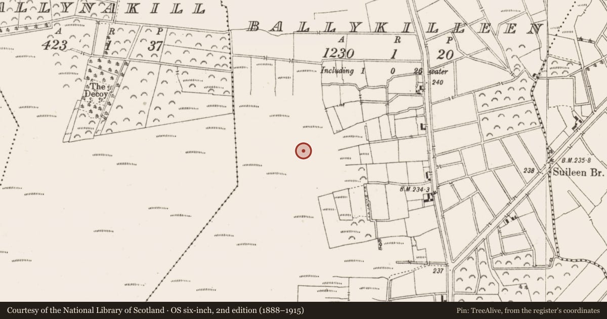 Ordnance Survey six-inch map, 2nd edition (1888–1915) covering the location of Structure - peatland, Ballykilleen, County Offaly, with a pin at the register's coordinates