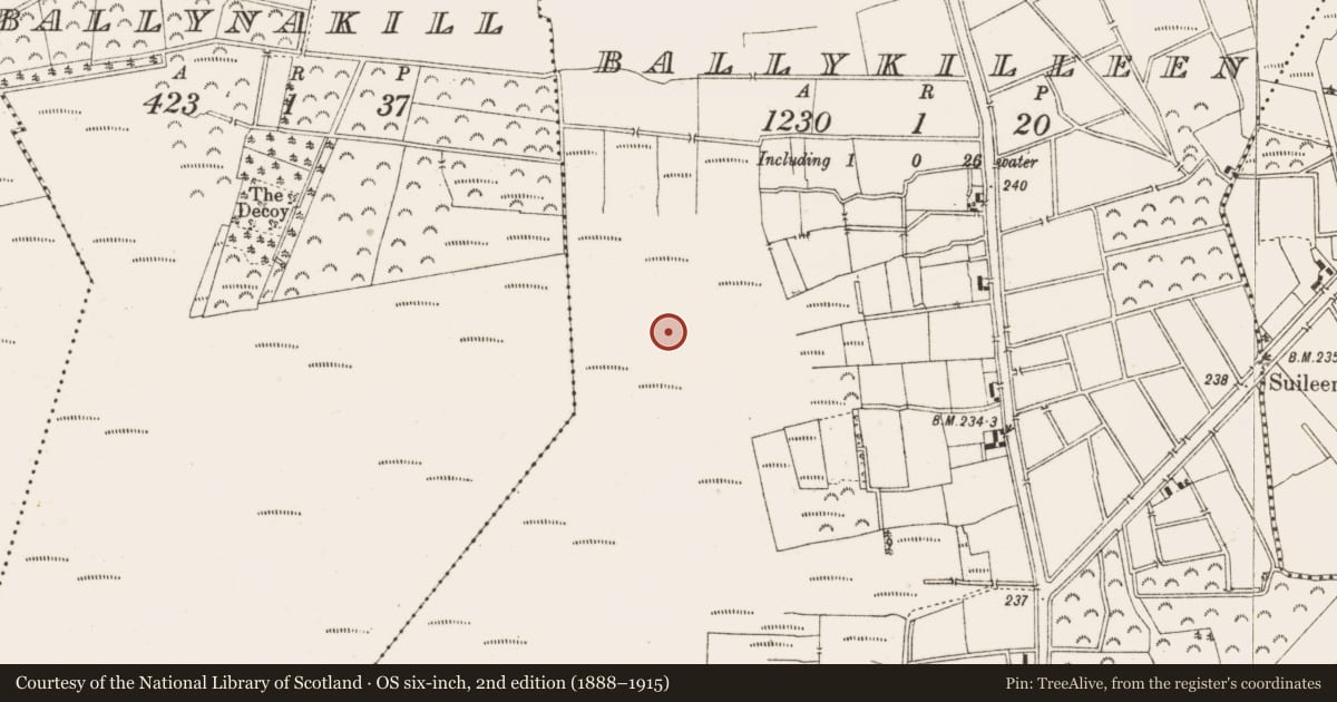 Ordnance Survey six-inch map, 2nd edition (1888–1915) covering the location of Road - class 3 togher, Ballykilleen, County Offaly, with a pin at the register's coordinates