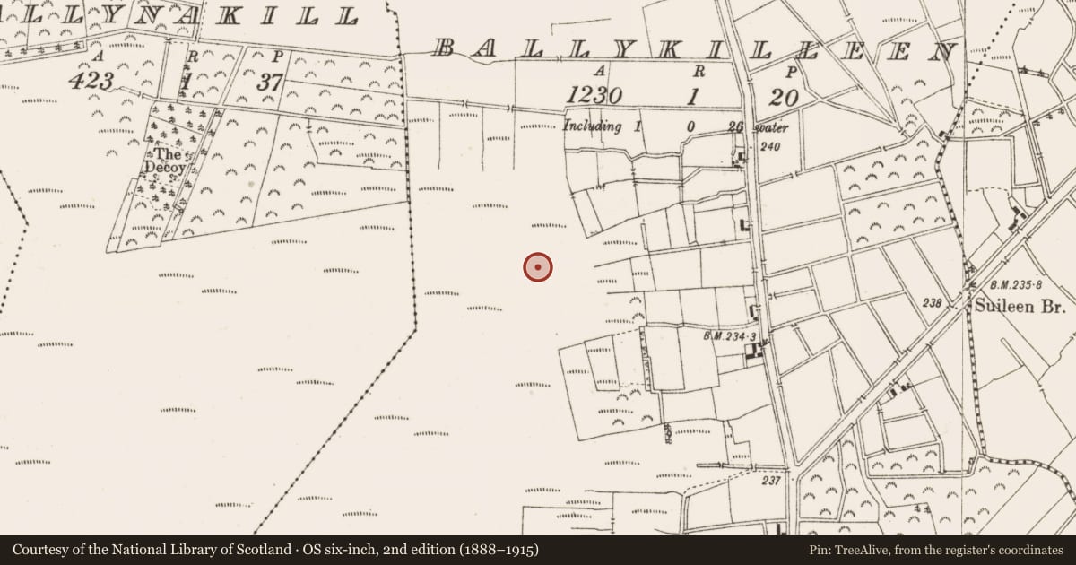 Ordnance Survey six-inch map, 2nd edition (1888–1915) covering the location of Structure - peatland, Ballykilleen, County Offaly, with a pin at the register's coordinates