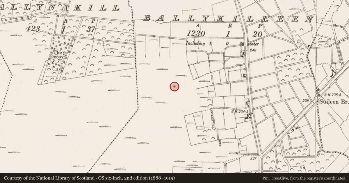 Ordnance Survey six-inch map, 2nd edition (1888–1915) covering the location of Road - class 1 togher, Ballykilleen, County Offaly, with a pin at the register's coordinates