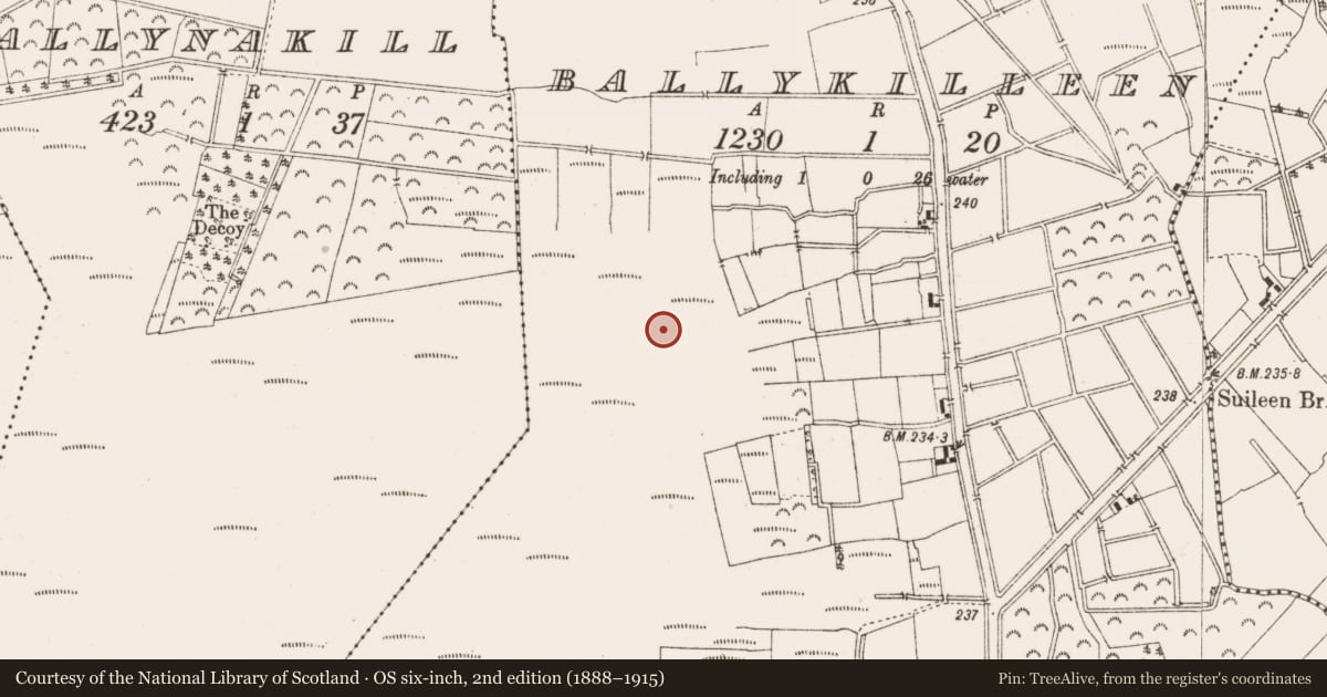 Ordnance Survey six-inch map, 2nd edition (1888–1915) covering the location of Road - class 3 togher, Ballykilleen, County Offaly, with a pin at the register's coordinates
