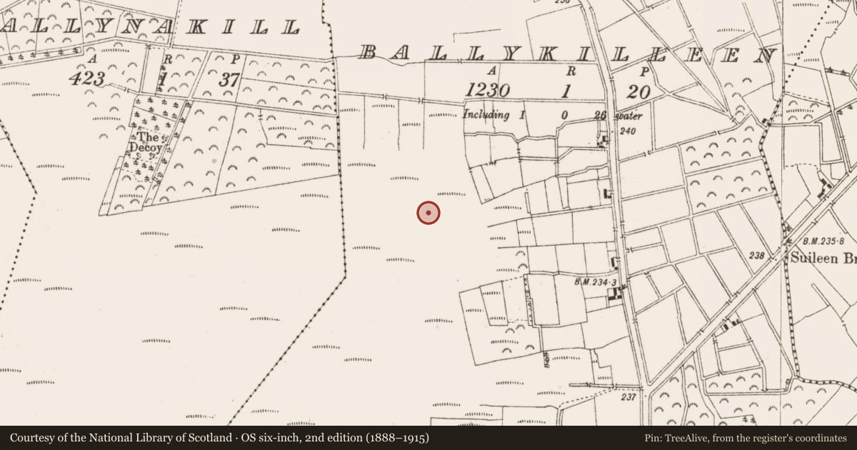 Ordnance Survey six-inch map, 2nd edition (1888–1915) covering the location of Structure - peatland, Ballykilleen, County Offaly, with a pin at the register's coordinates