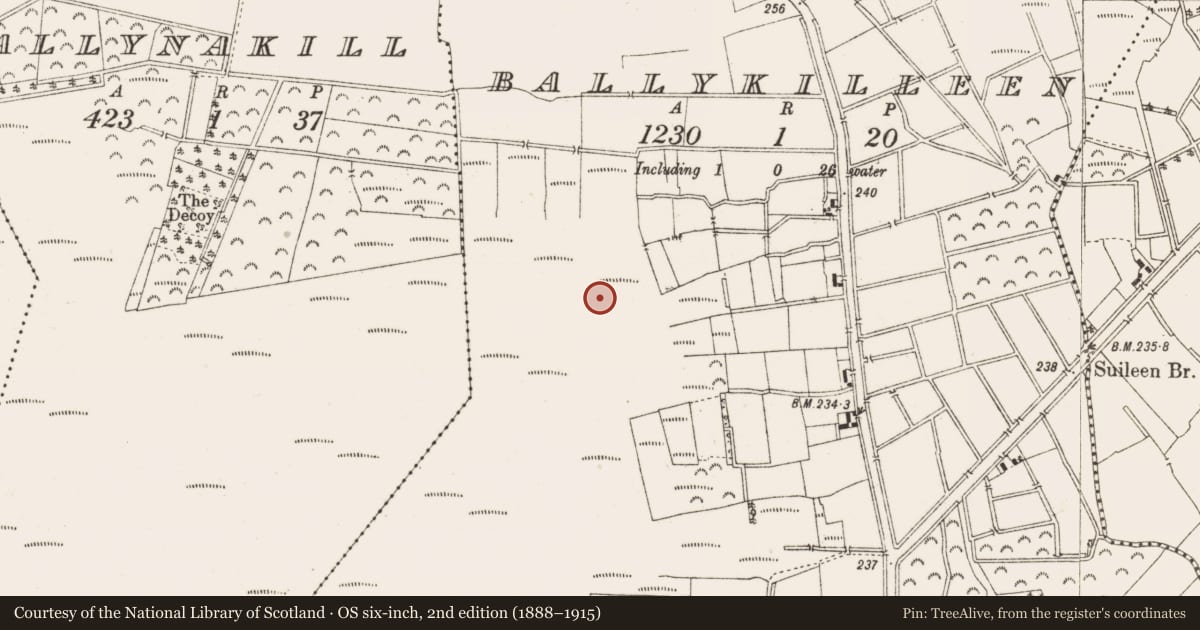Ordnance Survey six-inch map, 2nd edition (1888–1915) covering the location of Structure - peatland, Ballykilleen, County Offaly, with a pin at the register's coordinates