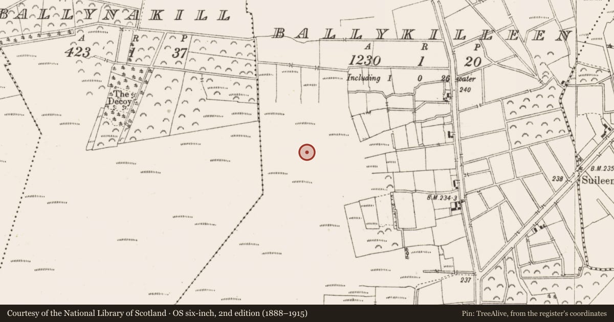 Ordnance Survey six-inch map, 2nd edition (1888–1915) covering the location of Structure - peatland, Ballykilleen, County Offaly, with a pin at the register's coordinates
