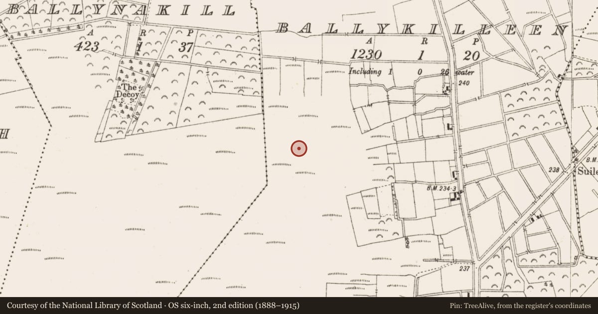 Ordnance Survey six-inch map, 2nd edition (1888–1915) covering the location of Road - class 2 togher, Ballykilleen, County Offaly, with a pin at the register's coordinates