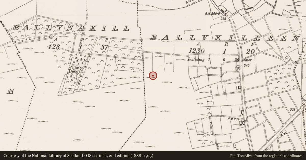 Ordnance Survey six-inch map, 2nd edition (1888–1915) covering the location of Road - class 3 togher, Ballykilleen, County Offaly, with a pin at the register's coordinates
