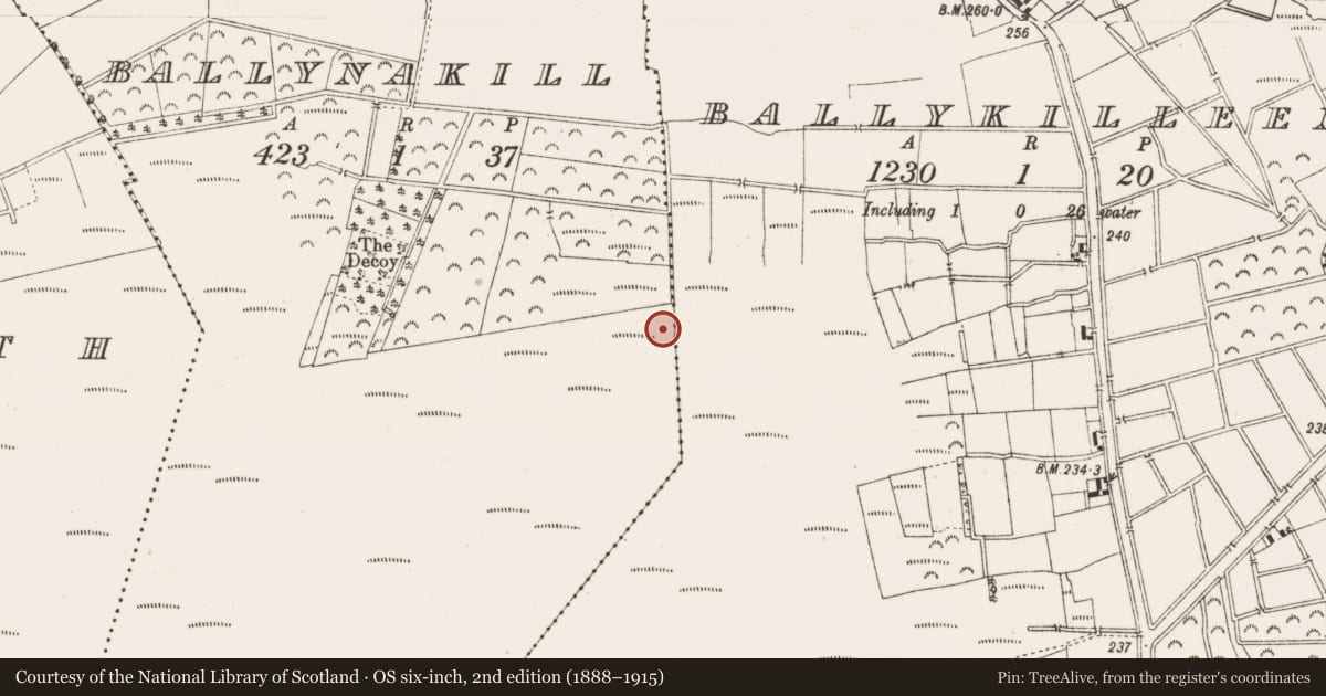 Ordnance Survey six-inch map, 2nd edition (1888–1915) covering the location of Structure - peatland, Ballynakill, County Offaly, with a pin at the register's coordinates