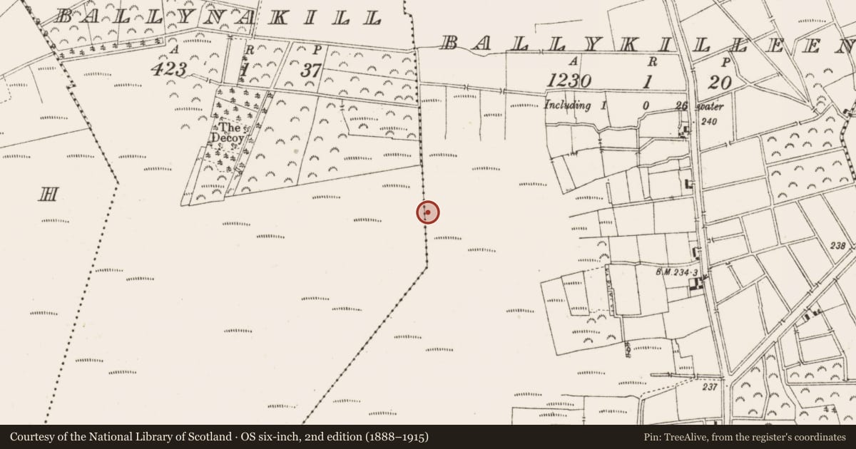 Ordnance Survey six-inch map, 2nd edition (1888–1915) covering the location of Structure - peatland, Ballykilleen, Ballynakill, County Offaly, with a pin at the register's coordinates