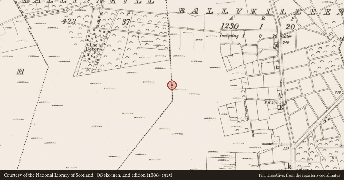 Ordnance Survey six-inch map, 2nd edition (1888–1915) covering the location of Road - class 3 togher, Ballykilleen, County Offaly, with a pin at the register's coordinates