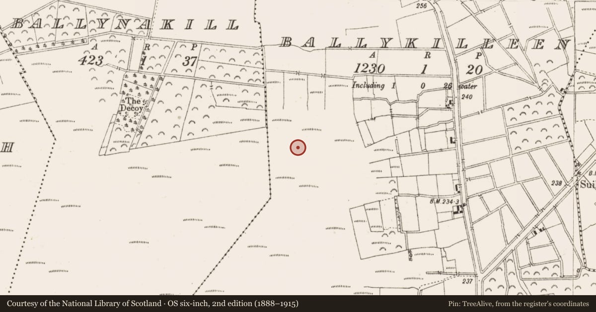 Ordnance Survey six-inch map, 2nd edition (1888–1915) covering the location of Structure - peatland, Ballykilleen, County Offaly, with a pin at the register's coordinates
