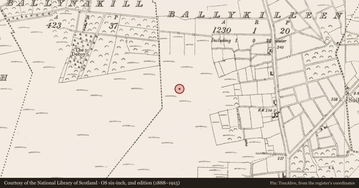 Ordnance Survey six-inch map, 2nd edition (1888–1915) covering the location of Structure - peatland, Ballykilleen, County Offaly, with a pin at the register's coordinates