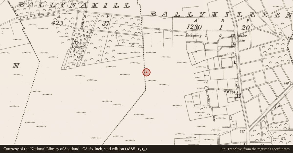 Ordnance Survey six-inch map, 2nd edition (1888–1915) covering the location of Road - class 3 togher, Ballykilleen, County Offaly, with a pin at the register's coordinates
