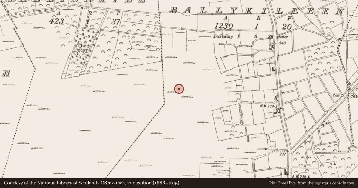 Ordnance Survey six-inch map, 2nd edition (1888–1915) covering the location of Structure - peatland, Ballykilleen, County Offaly, with a pin at the register's coordinates