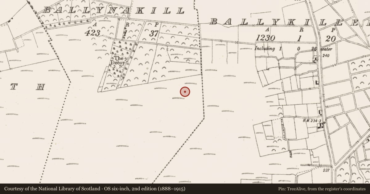 Ordnance Survey six-inch map, 2nd edition (1888–1915) covering the location of Structure - peatland, Ballynakill, County Offaly, with a pin at the register's coordinates