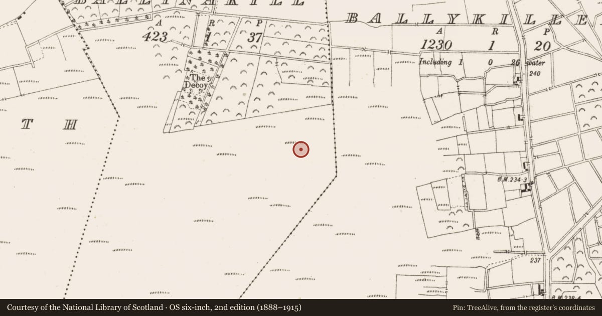 Ordnance Survey six-inch map, 2nd edition (1888–1915) covering the location of Road - class 1 togher, Ballynakill, County Offaly, with a pin at the register's coordinates
