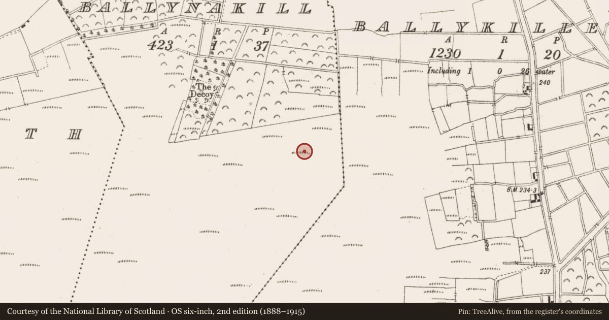Ordnance Survey six-inch map, 2nd edition (1888–1915) covering the location of Road - class 3 togher, Ballynakill, County Offaly, with a pin at the register's coordinates