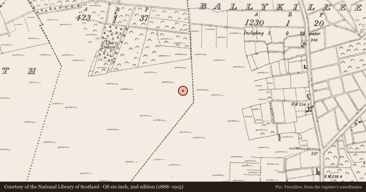 Ordnance Survey six-inch map, 2nd edition (1888–1915) covering the location of Road - class 3 togher, Ballynakill, County Offaly, with a pin at the register's coordinates