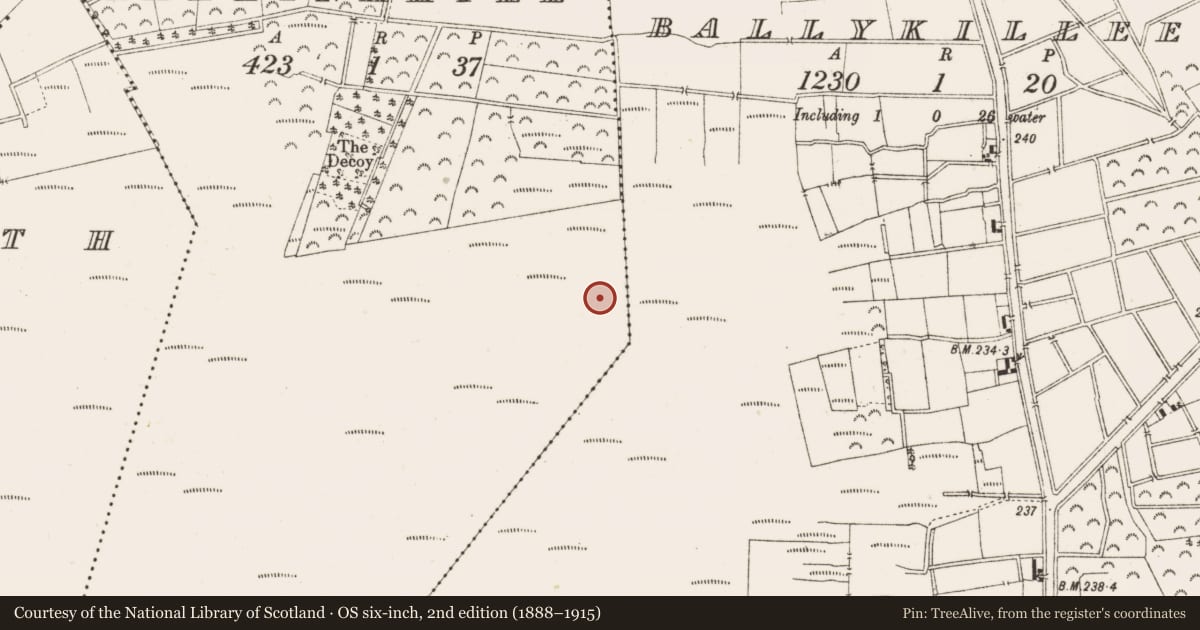 Ordnance Survey six-inch map, 2nd edition (1888–1915) covering the location of Road - class 3 togher, Ballynakill, County Offaly, with a pin at the register's coordinates