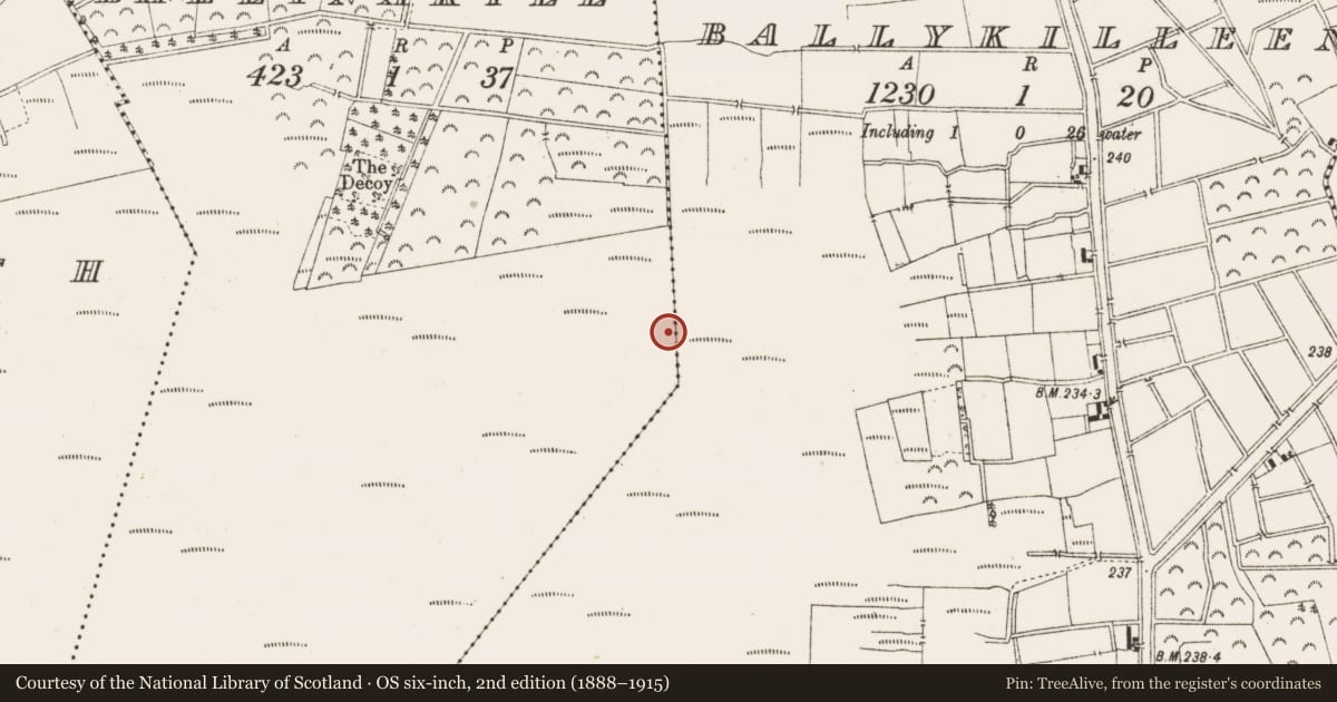 Ordnance Survey six-inch map, 2nd edition (1888–1915) covering the location of Road - class 3 togher, Ballynakill, County Offaly, with a pin at the register's coordinates