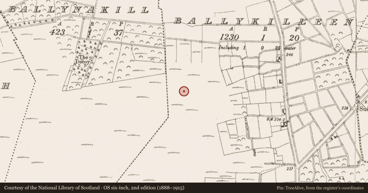 Ordnance Survey six-inch map, 2nd edition (1888–1915) covering the location of Road - class 3 togher, Ballykilleen, County Offaly, with a pin at the register's coordinates