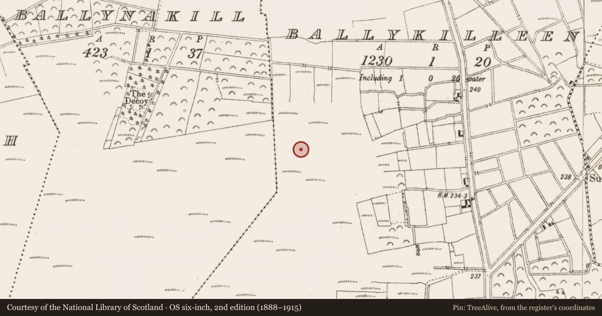 Ordnance Survey six-inch map, 2nd edition (1888–1915) covering the location of Structure - peatland, Ballykilleen, County Offaly, with a pin at the register's coordinates