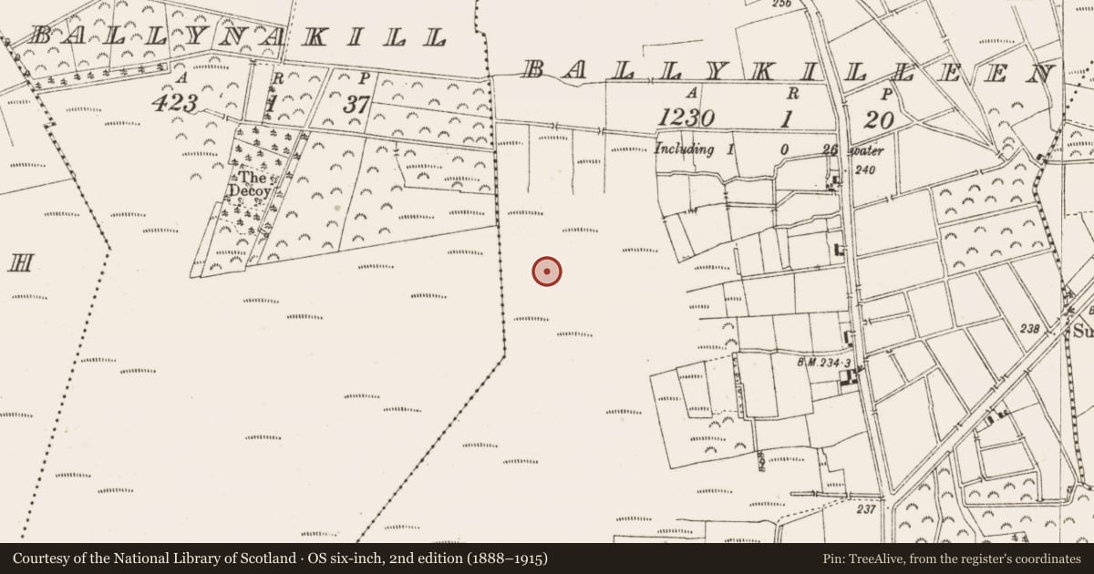 Ordnance Survey six-inch map, 2nd edition (1888–1915) covering the location of Road - class 3 togher, Ballykilleen, County Offaly, with a pin at the register's coordinates