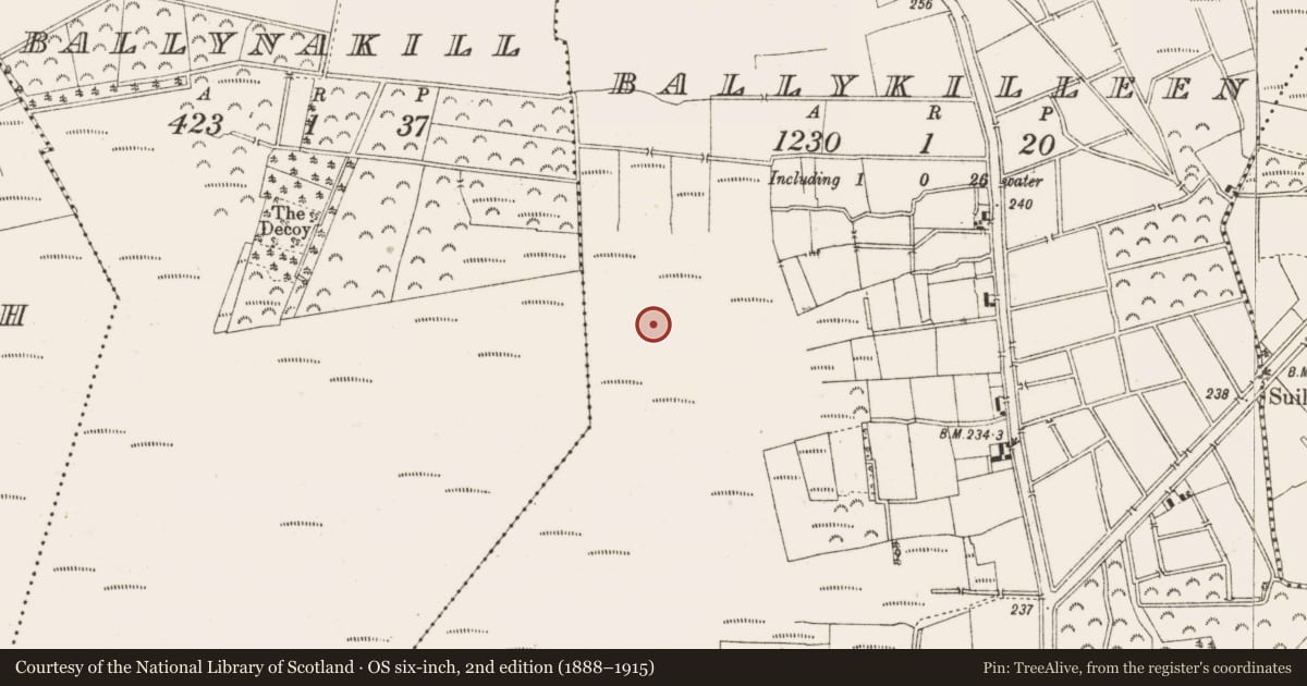 Ordnance Survey six-inch map, 2nd edition (1888–1915) covering the location of Structure - peatland, Ballykilleen, County Offaly, with a pin at the register's coordinates