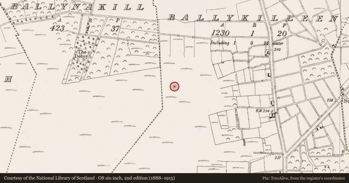Ordnance Survey six-inch map, 2nd edition (1888–1915) covering the location of Structure - peatland, Ballykilleen, County Offaly, with a pin at the register's coordinates