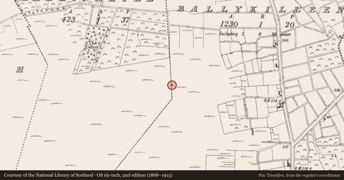 Ordnance Survey six-inch map, 2nd edition (1888–1915) covering the location of Road - class 3 togher, Ballynakill, County Offaly, with a pin at the register's coordinates