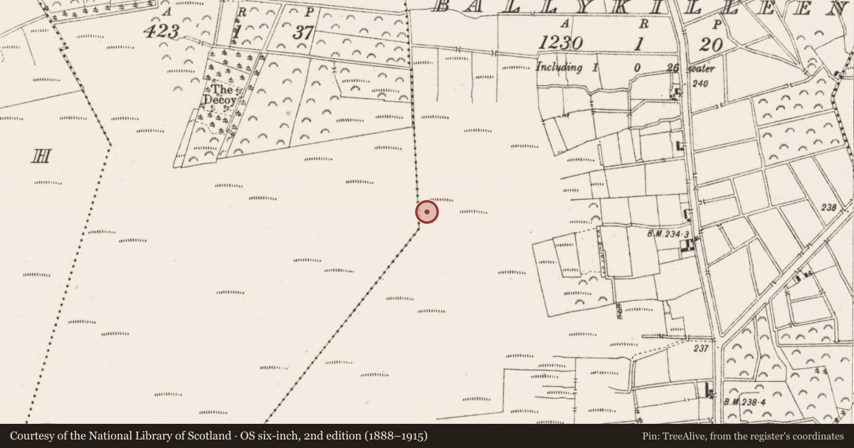Ordnance Survey six-inch map, 2nd edition (1888–1915) covering the location of Structure - peatland, Ballykilleen, County Offaly, with a pin at the register's coordinates