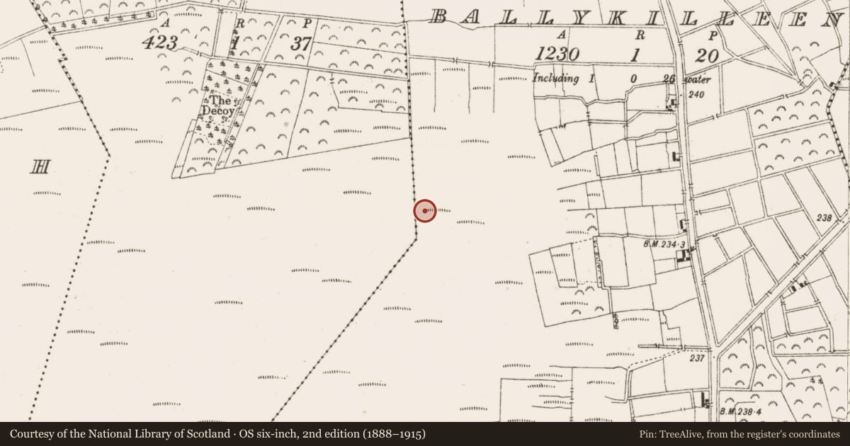 Ordnance Survey six-inch map, 2nd edition (1888–1915) covering the location of Road - class 3 togher, Ballykilleen, County Offaly, with a pin at the register's coordinates