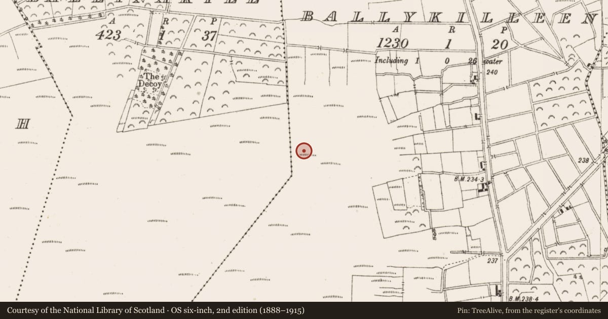 Ordnance Survey six-inch map, 2nd edition (1888–1915) covering the location of Structure - peatland, Ballykilleen, County Offaly, with a pin at the register's coordinates