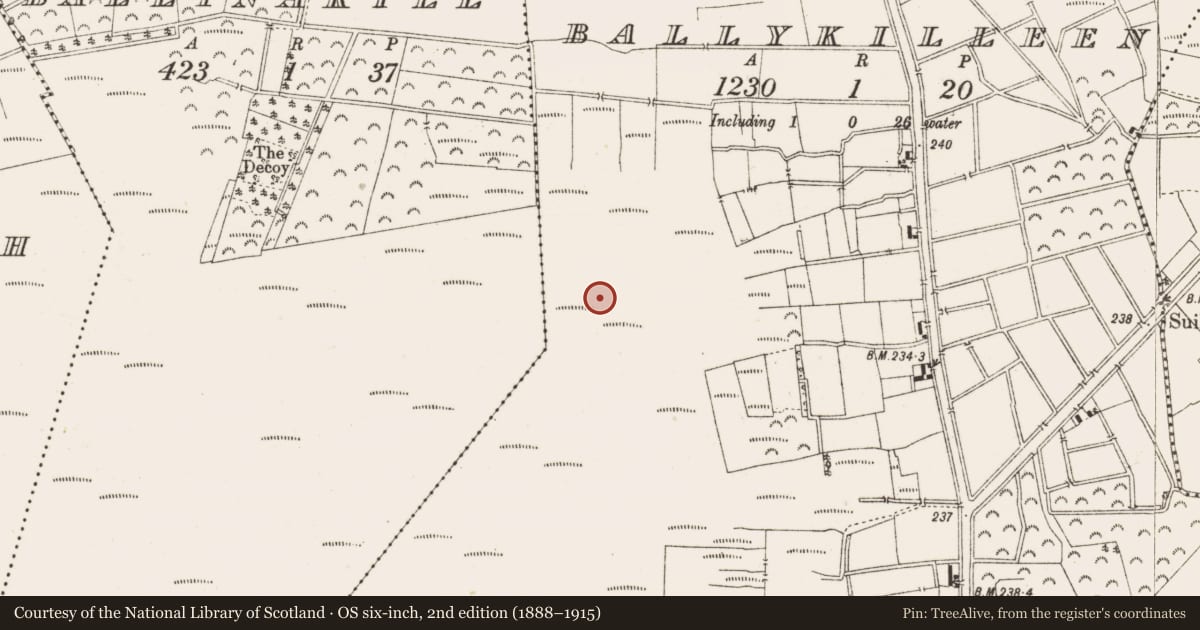 Ordnance Survey six-inch map, 2nd edition (1888–1915) covering the location of Road - class 3 togher, Ballykilleen, County Offaly, with a pin at the register's coordinates