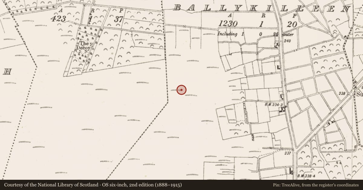 Ordnance Survey six-inch map, 2nd edition (1888–1915) covering the location of Structure - peatland, Ballykilleen, County Offaly, with a pin at the register's coordinates