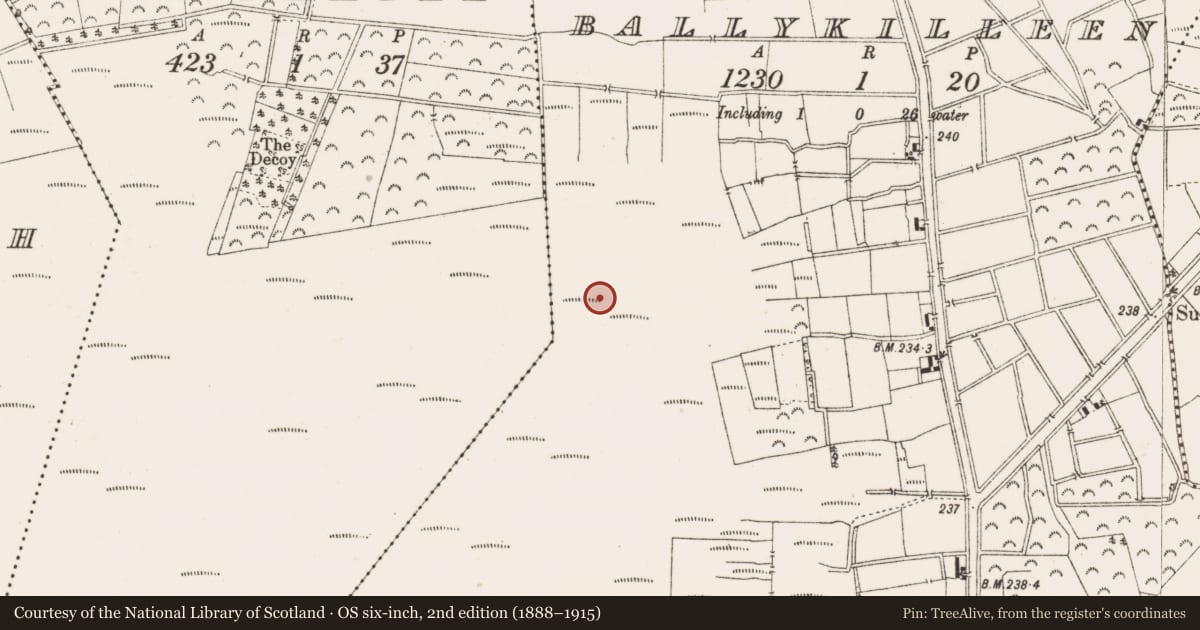 Ordnance Survey six-inch map, 2nd edition (1888–1915) covering the location of Structure - peatland, Ballykilleen, County Offaly, with a pin at the register's coordinates