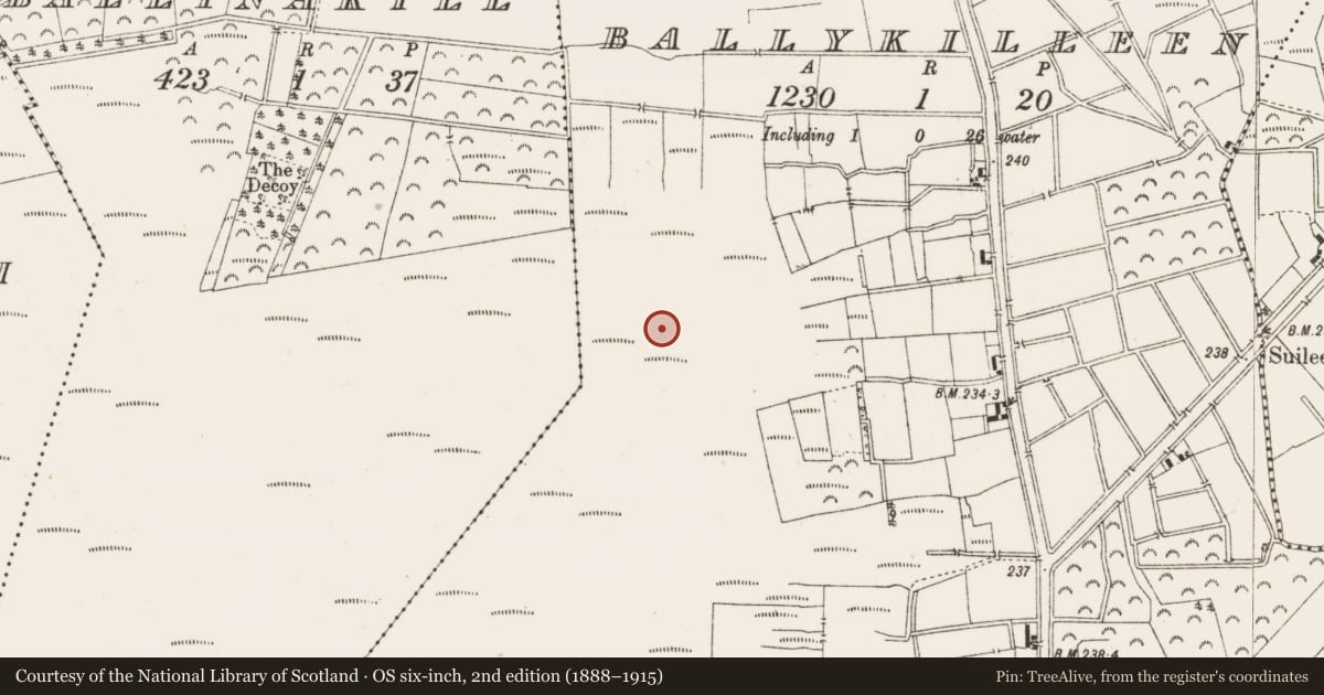 Ordnance Survey six-inch map, 2nd edition (1888–1915) covering the location of Structure - peatland, Ballykilleen, County Offaly, with a pin at the register's coordinates