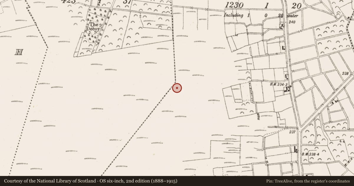 Ordnance Survey six-inch map, 2nd edition (1888–1915) covering the location of Structure - peatland, Ballykilleen, County Offaly, with a pin at the register's coordinates