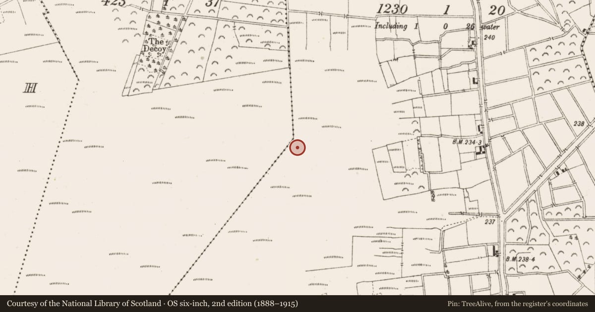 Ordnance Survey six-inch map, 2nd edition (1888–1915) covering the location of Structure - peatland, Ballykilleen, County Offaly, with a pin at the register's coordinates
