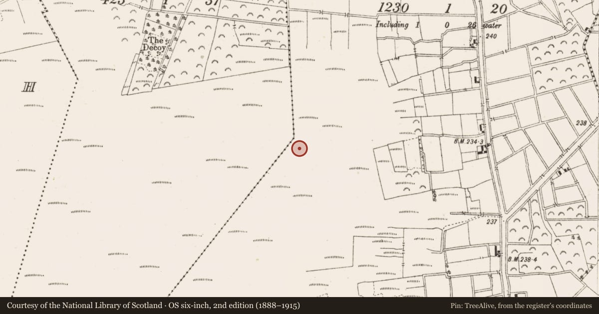 Ordnance Survey six-inch map, 2nd edition (1888–1915) covering the location of Structure - peatland, Ballykilleen, County Offaly, with a pin at the register's coordinates