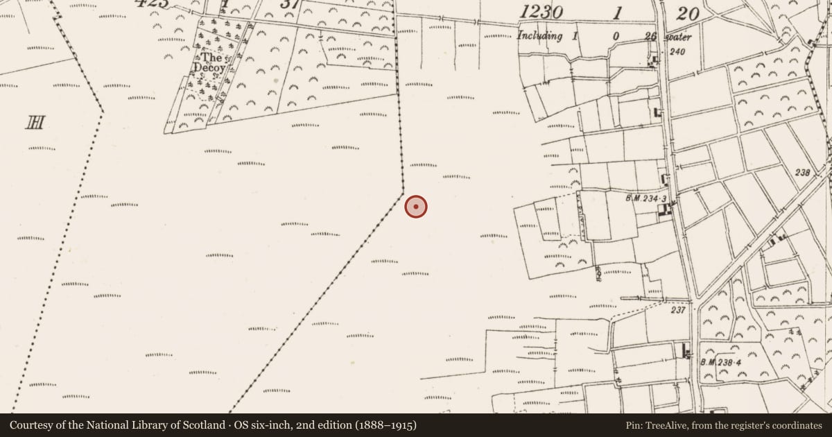 Ordnance Survey six-inch map, 2nd edition (1888–1915) covering the location of Structure - peatland, Ballykilleen, County Offaly, with a pin at the register's coordinates