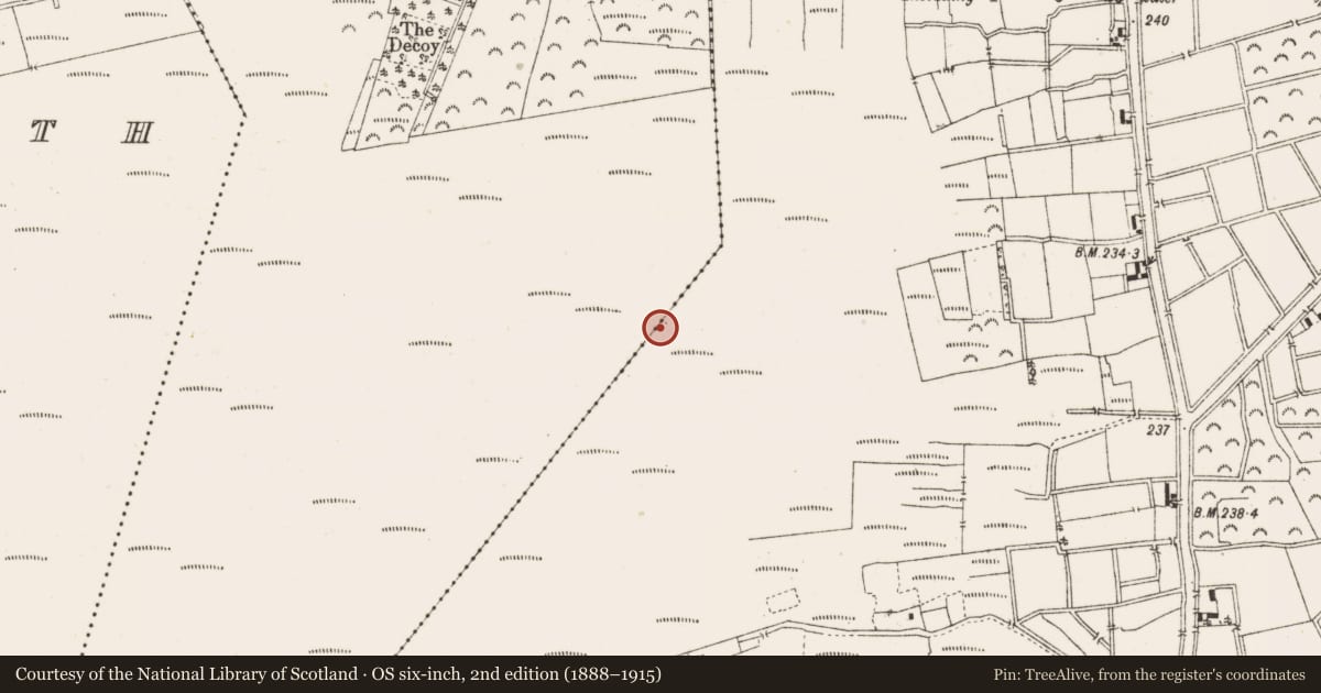 Ordnance Survey six-inch map, 2nd edition (1888–1915) covering the location of Structure - peatland, Ballykilleen, County Offaly, with a pin at the register's coordinates