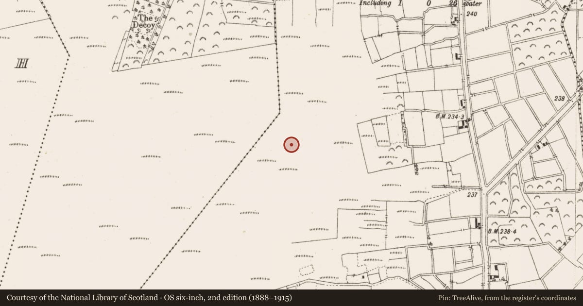 Ordnance Survey six-inch map, 2nd edition (1888–1915) covering the location of Road - class 3 togher, Ballykilleen, County Offaly, with a pin at the register's coordinates