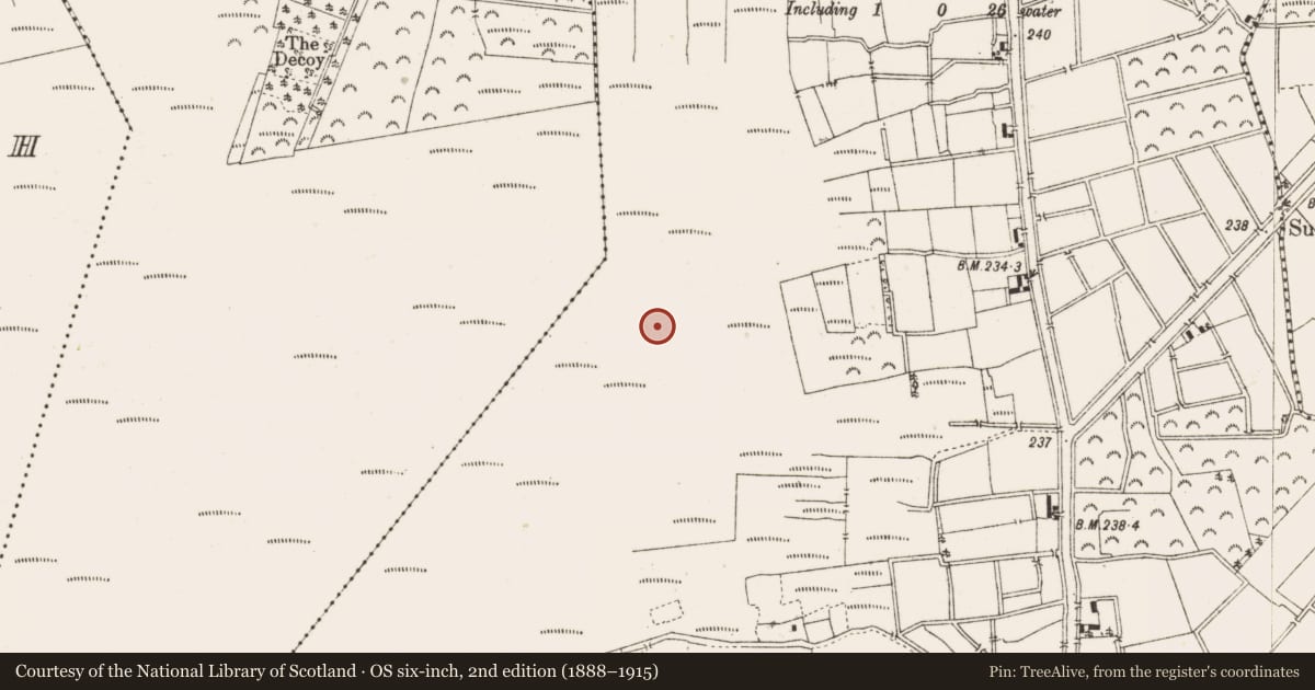 Ordnance Survey six-inch map, 2nd edition (1888–1915) covering the location of Road - class 3 togher, Ballykilleen, County Offaly, with a pin at the register's coordinates