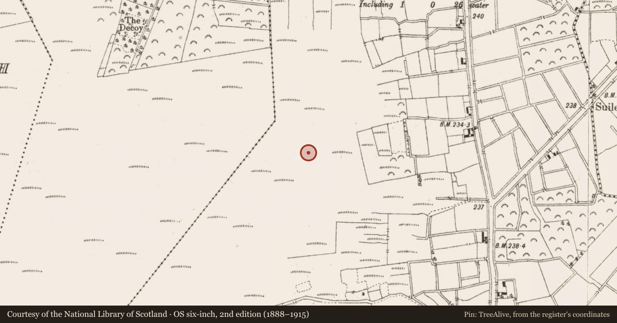 Ordnance Survey six-inch map, 2nd edition (1888–1915) covering the location of Structure - peatland, Ballykilleen, County Offaly, with a pin at the register's coordinates