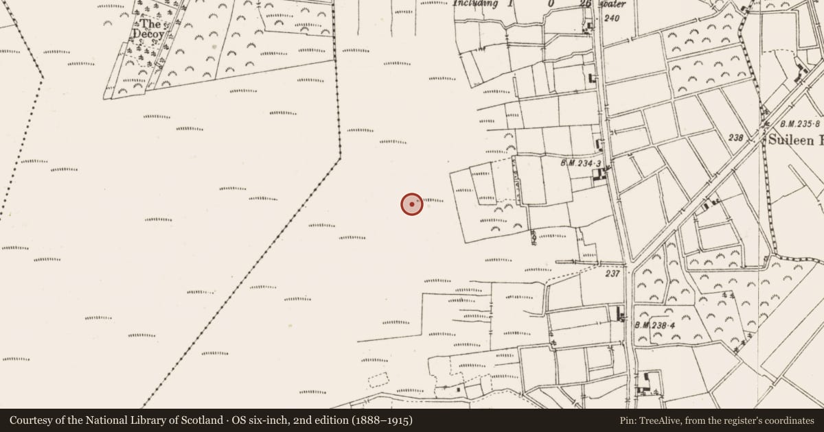 Ordnance Survey six-inch map, 2nd edition (1888–1915) covering the location of Road - class 3 togher, Ballykilleen, County Offaly, with a pin at the register's coordinates