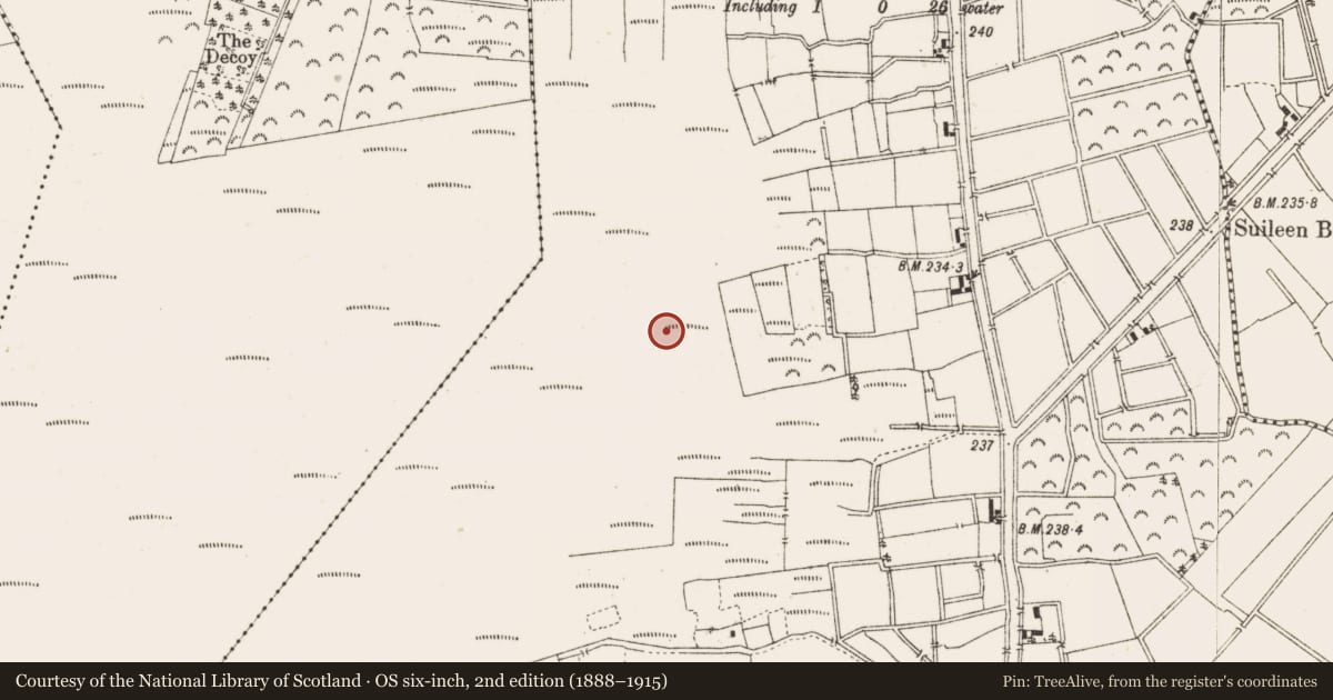 Ordnance Survey six-inch map, 2nd edition (1888–1915) covering the location of Structure - peatland, Ballykilleen, County Offaly, with a pin at the register's coordinates
