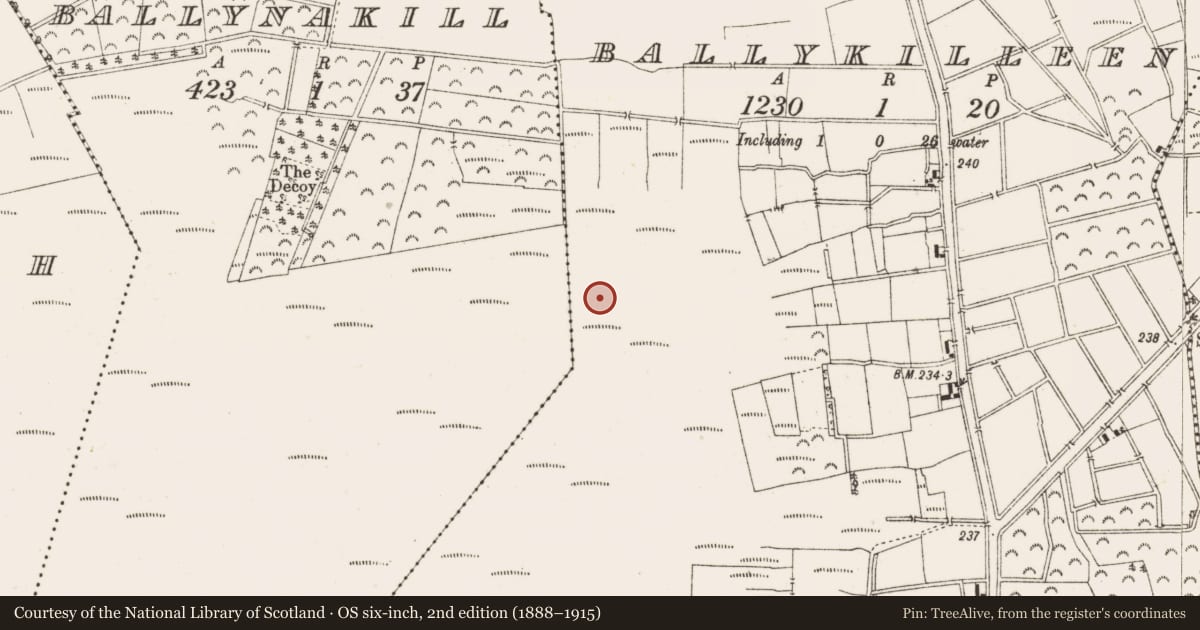 Ordnance Survey six-inch map, 2nd edition (1888–1915) covering the location of Structure - peatland, Ballykilleen, County Offaly, with a pin at the register's coordinates